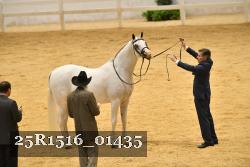 25R1516_01435 thumbnail