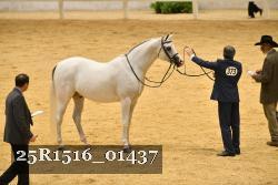 25R1516_01437 thumbnail