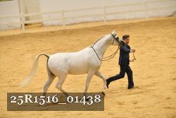 25R1516_01438 thumbnail
