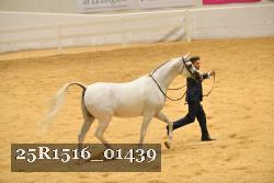 25R1516_01439 thumbnail