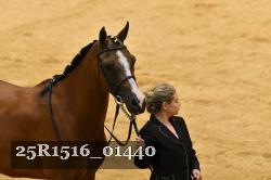 25R1516_01440 thumbnail