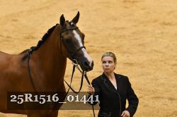 25R1516_01441 thumbnail