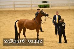 25R1516_01442 thumbnail