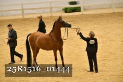 25R1516_01444 thumbnail