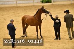 25R1516_01446 thumbnail