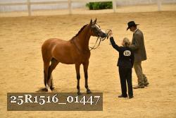25R1516_01447 thumbnail