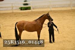 25R1516_01448 thumbnail