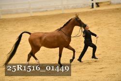 25R1516_01449 thumbnail