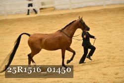 25R1516_01450 thumbnail