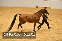 25R1516_01451 thumbnail