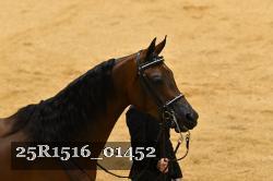 25R1516_01452 thumbnail