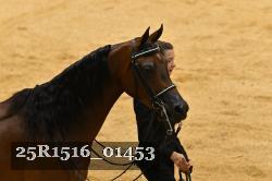 25R1516_01453 thumbnail