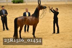 25R1516_01454 thumbnail