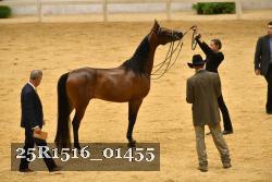 25R1516_01455 thumbnail