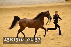 25R1516_01457 thumbnail