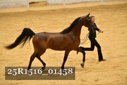 25R1516_01458 thumbnail