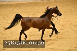 25R1516_01459 thumbnail