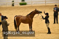 25R1516_01460 thumbnail
