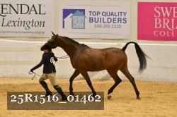 25R1516_01462 thumbnail
