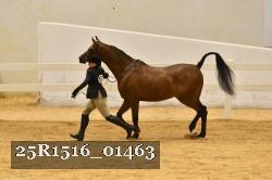 25R1516_01463 thumbnail
