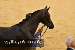 25R1516_01465 thumbnail