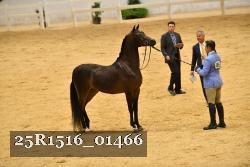 25R1516_01466 thumbnail