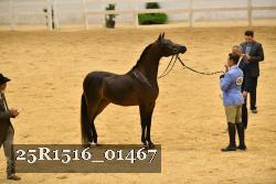 25R1516_01467 thumbnail