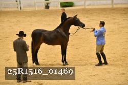 25R1516_01469 thumbnail