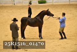 25R1516_01470 thumbnail