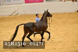 25R1516_01471 thumbnail