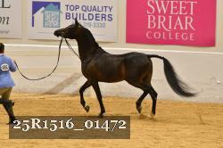 25R1516_01472 thumbnail
