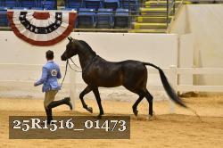 25R1516_01473 thumbnail