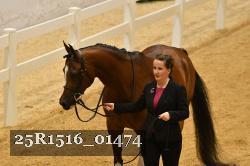 25R1516_01474 thumbnail