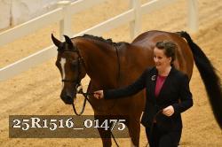 25R1516_01475 thumbnail
