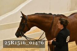 25R1516_01476 thumbnail