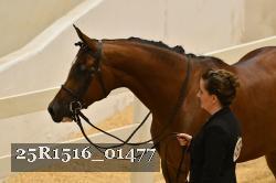25R1516_01477 thumbnail