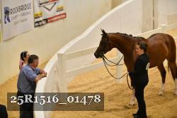 25R1516_01478 thumbnail