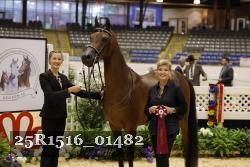 25R1516_01482 thumbnail