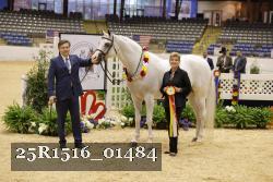 25R1516_01484 thumbnail