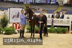 25R1516_01486 thumbnail
