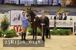 25R1516_01487 thumbnail