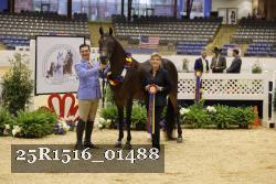 25R1516_01488 thumbnail