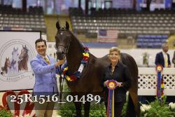 25R1516_01489 thumbnail