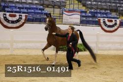 25R1516_01491 thumbnail