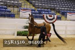 25R1516_01492 thumbnail