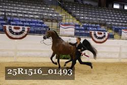 25R1516_01493 thumbnail