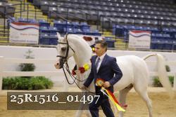 25R1516_01497 thumbnail