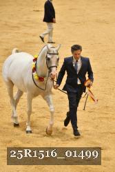 25R1516_01499 thumbnail