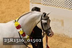25R1516_01502 thumbnail