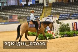 25R1516_07020 thumbnail